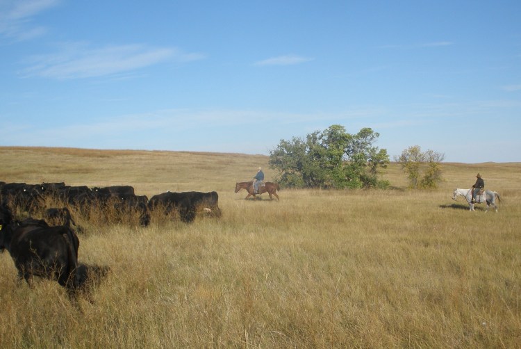 P9290013 Frank on the sorrel and Kevin on the gray