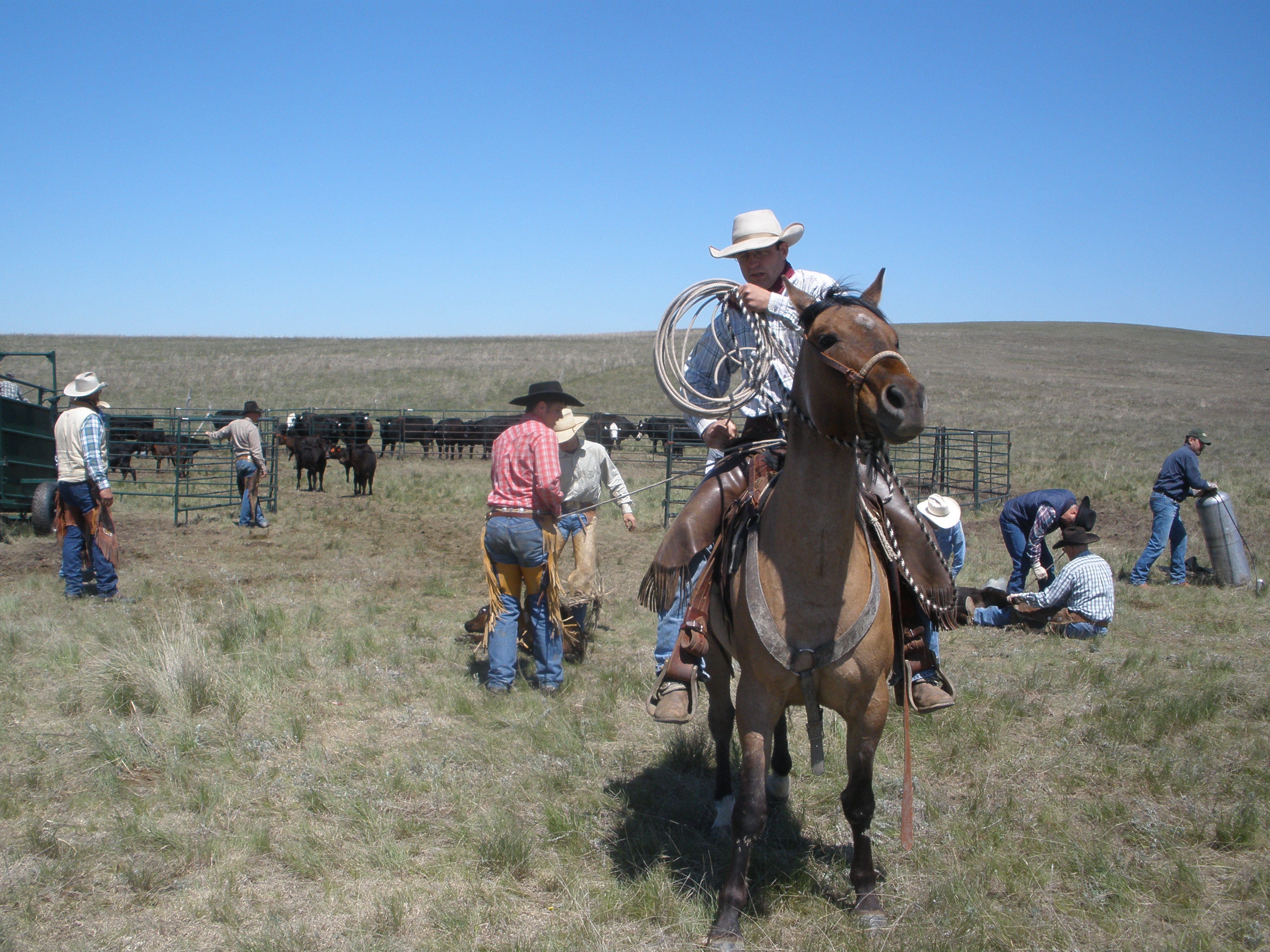 wrestlers taking him off the line