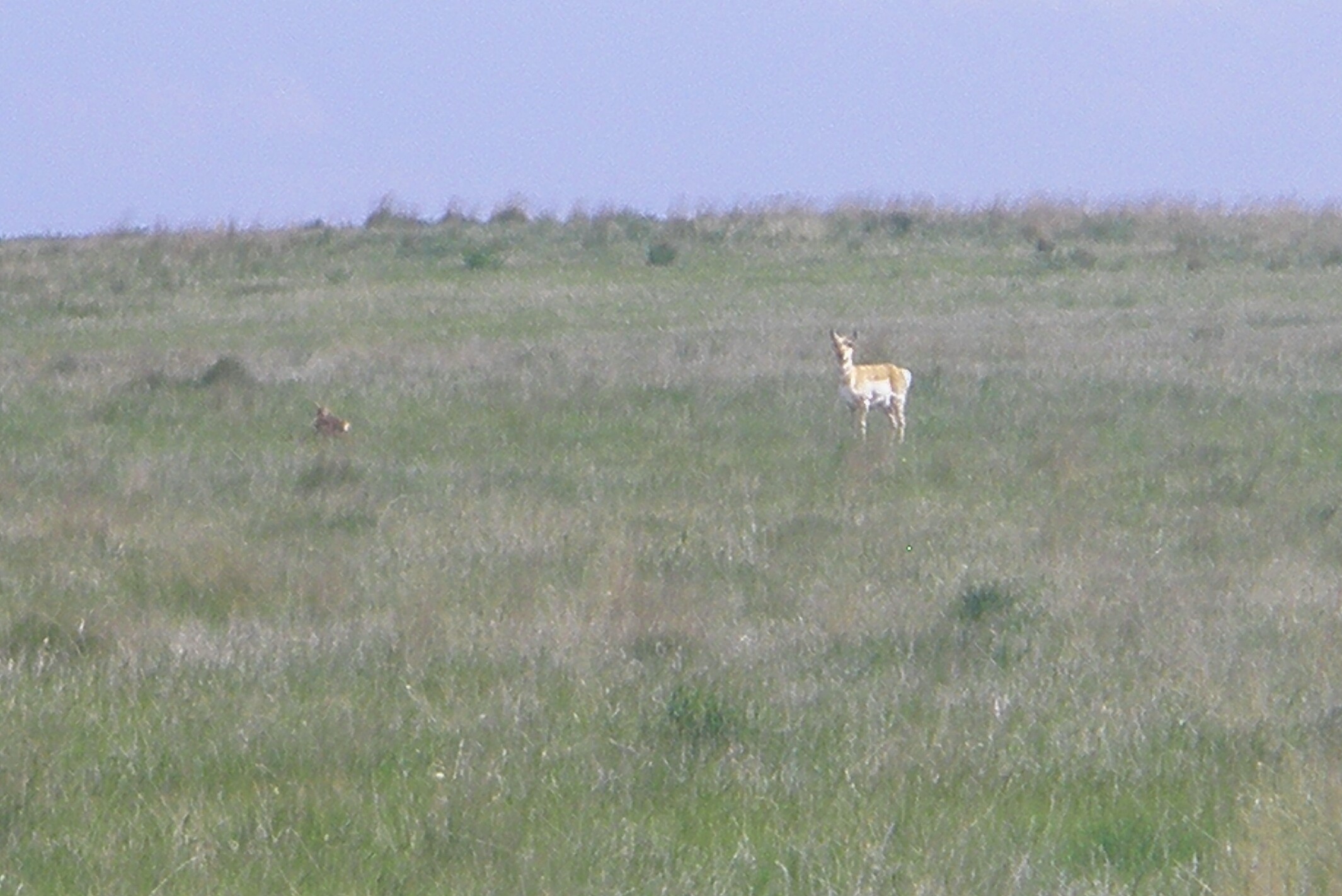 Look real close to the left hand side. See it?