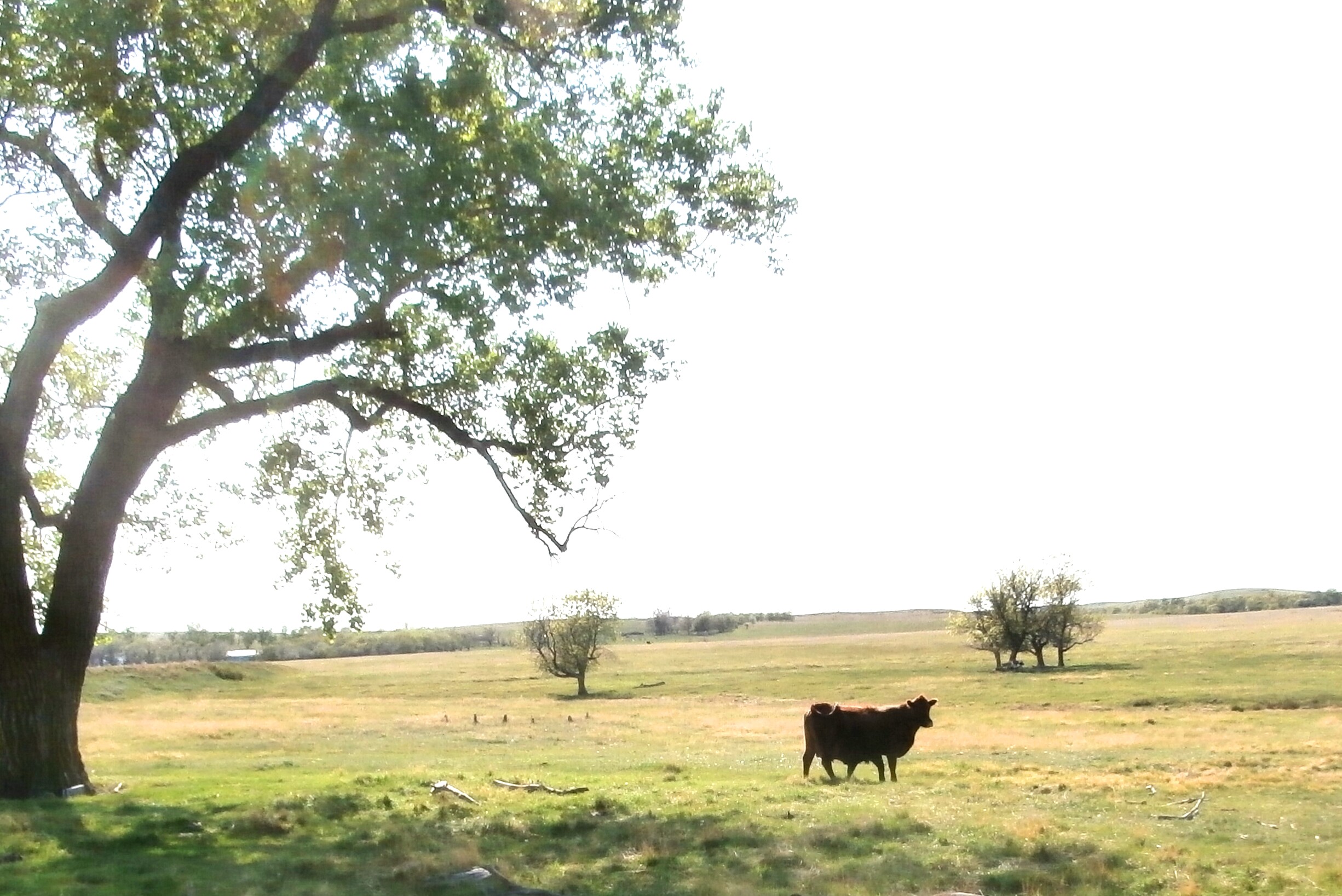 Mama and baby on Mothers Day