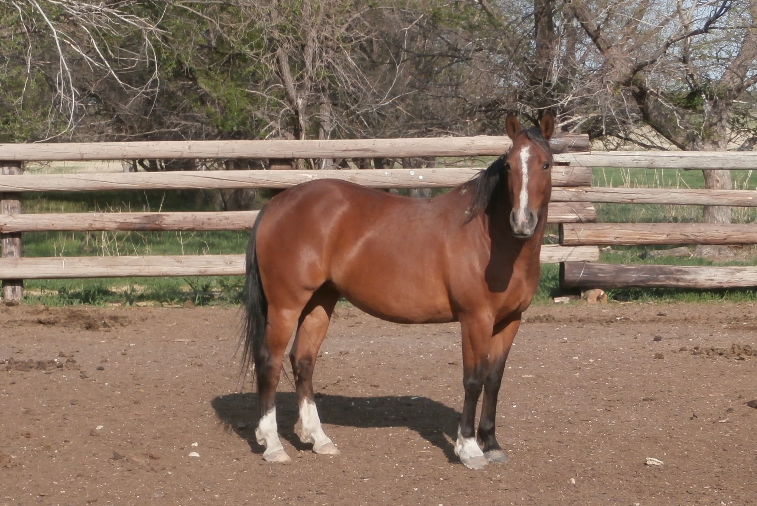 Swiss Miss, I called her that cuz' she's got moves like a Swiss watch!