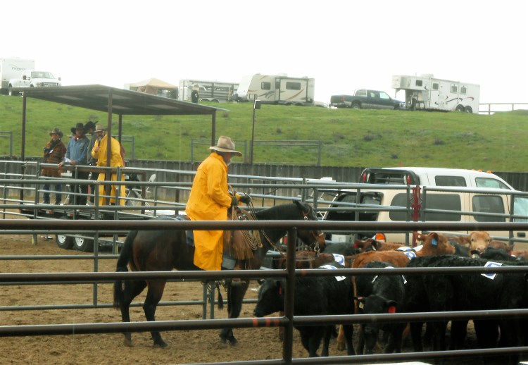 Mike and Maddie sortin' in the rain